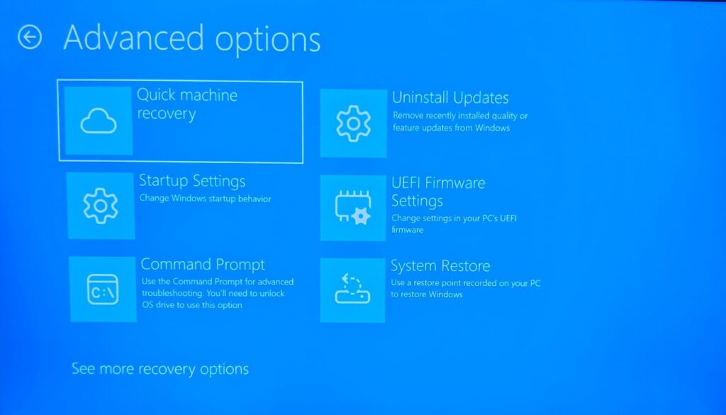 The Windows Advanced Options troubleshooting screen showing recovery menus like Startup Settings, Command Prompt, Uninstall Updates, UEFI Firmware Settings, and System Restore on a bright blue background.
