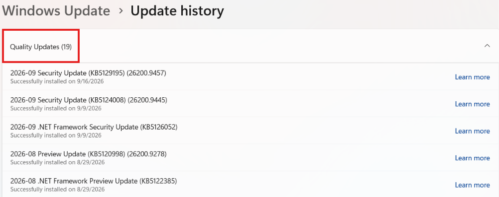 A screenshot of the Windows Update history page showing a list of recently installed patches. A red box highlights the "Quality Updates (19)" dropdown section header, which contains listed entries like KB5129195 and KB5124008 with their successful installation dates.