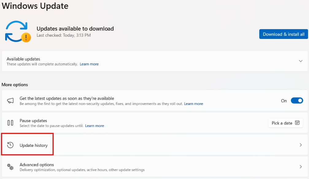 A screenshot of the Windows Update settings page showing available updates ready to download. A prominent "Download & install all" button sits at the top right, and a red box outlines the "Update history" row under the More options section.