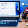 Windows 11 USB audio not working after an update